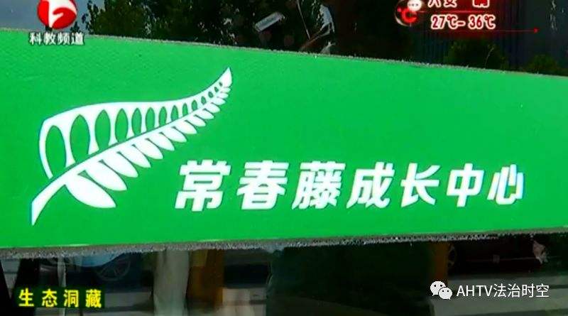 合肥一機構(gòu)被曝虐童、用過期食品 官方:無證經(jīng)營