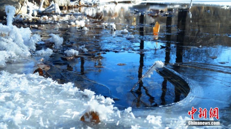 甘肅肅南雪后藍(lán)天輝映雪地冰花