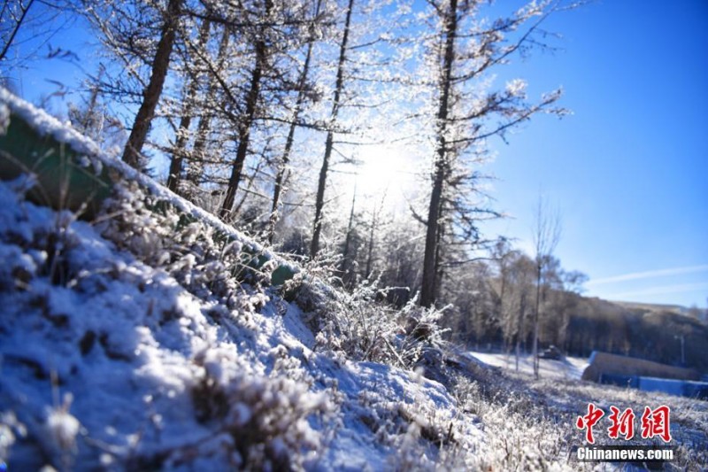 甘肅肅南雪后藍(lán)天輝映雪地冰花