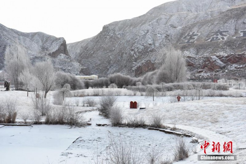 甘肅肅南雪后藍(lán)天輝映雪地冰花