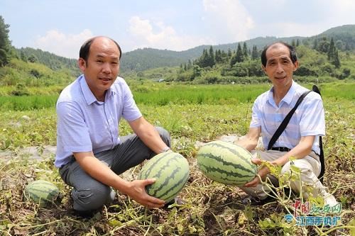 萍鄉(xiāng)“愛心記者”堅守9年奔跑公益路 用大愛為貧弱群眾撐起艷陽天