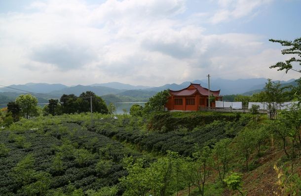 安徽太湖縣春草愛心聯(lián)盟慈善協(xié)會會員走進金夢灣生態(tài)農(nóng)莊