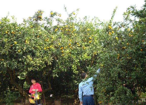 安徽太湖縣春草愛心聯(lián)盟慈善協(xié)會會員走進金夢灣生態(tài)農(nóng)莊