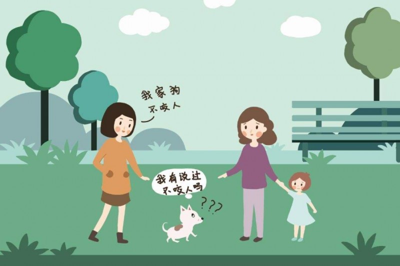 遛狗不拴繩行為很常見 不文明養(yǎng)犬行為怎么管？