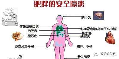 百病之源！肥胖的九大危害，你知道幾個(gè)？