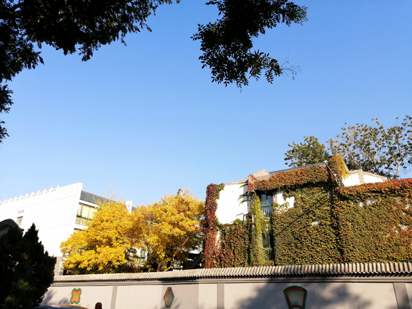 北海公園秋色濃