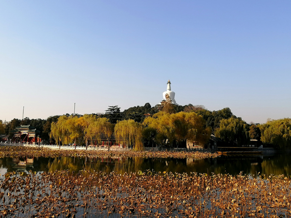 北海公園秋色濃