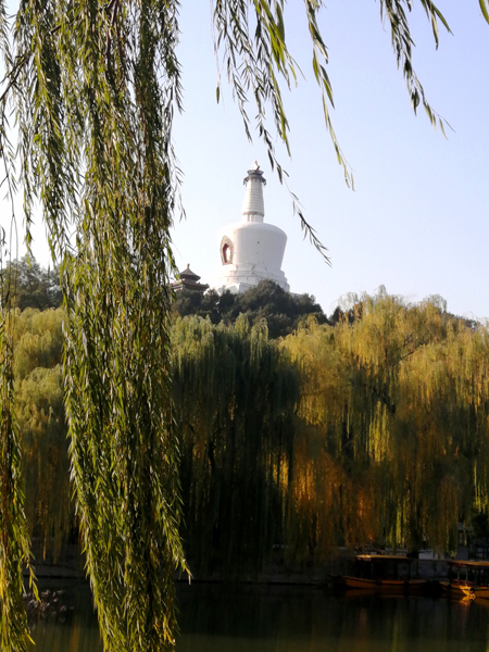 北海公園秋色濃