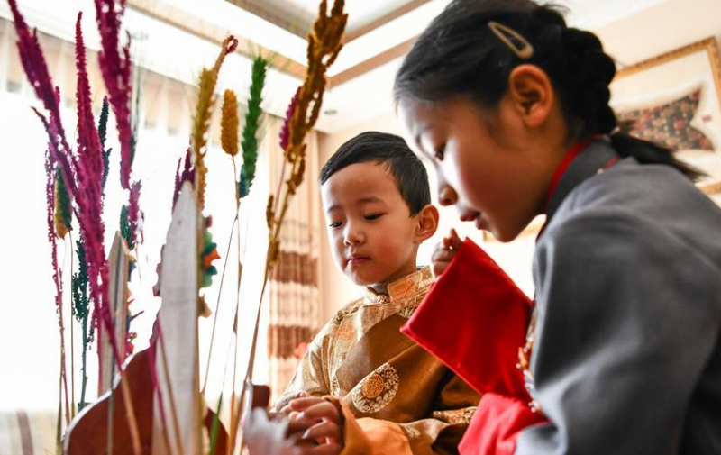 西藏各地歡度藏歷新年