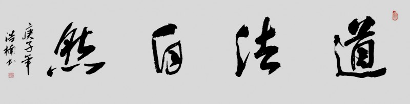 李浩楠書(shū)法作品——眾志成城 抗擊肺炎主題網(wǎng)絡(luò)書(shū)畫(huà)攝影展優(yōu)秀作品