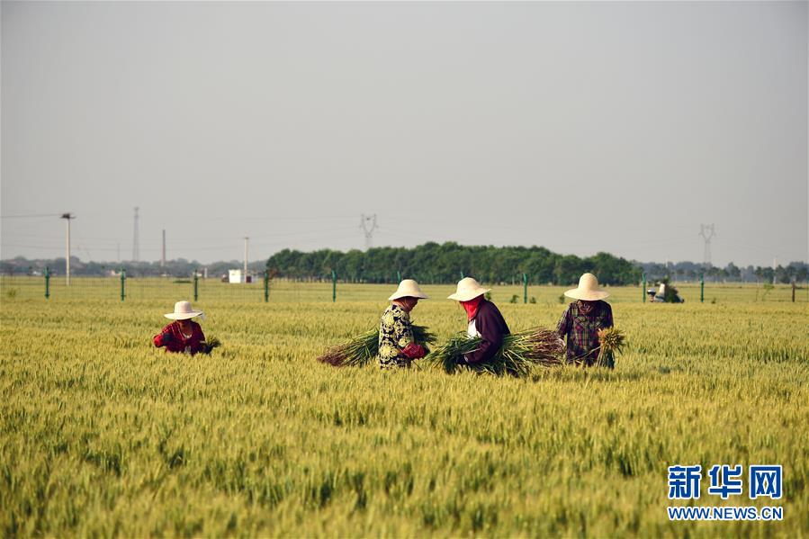 （新華全媒頭條·迎接兩會(huì)特別報(bào)道·圖文互動(dòng)）（1）不同尋常的兩會(huì) 萬(wàn)眾一心的力量——寫在2020年全國(guó)兩會(huì)召開(kāi)之際