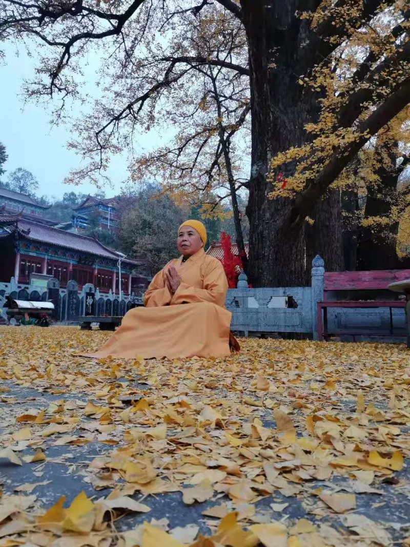 釋印來法師三周年紀念法會在河南魯山文殊寺舉辦