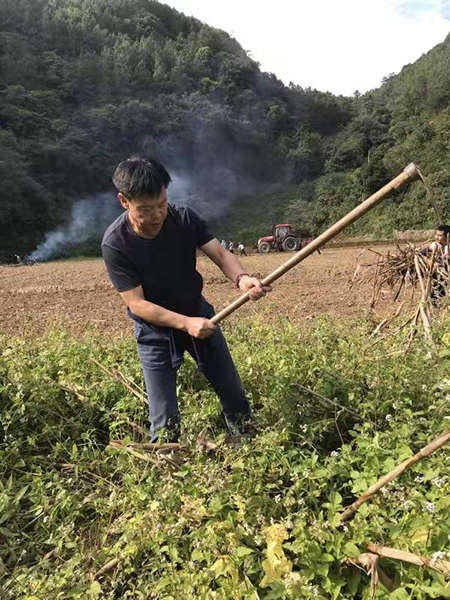 院士扶貧開出致富花——普洱“高端路線”成典范