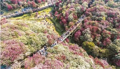 今年將迎首個旅游高峰