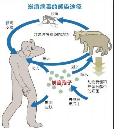 北京疾控提醒：五一出游，人與動物保持距離