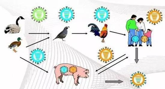 北京疾控提醒：五一出游，人與動物保持距離