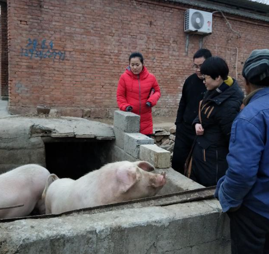 大學(xué)生做腌肉帶領(lǐng)村民致富