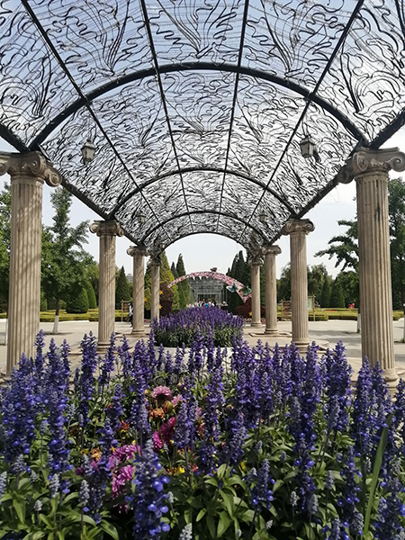 打卡世界花卉大觀園