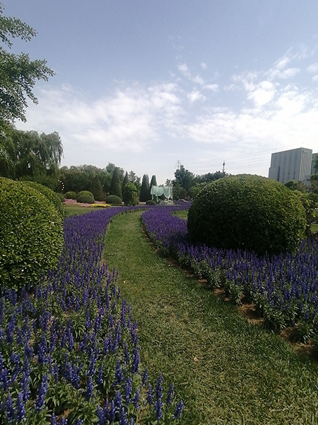 打卡世界花卉大觀園