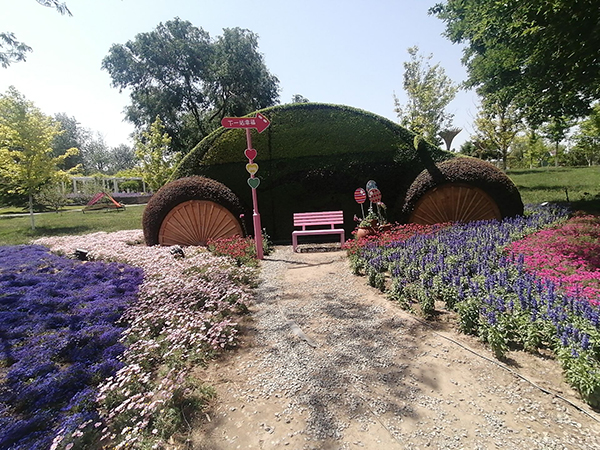 打卡世界花卉大觀園