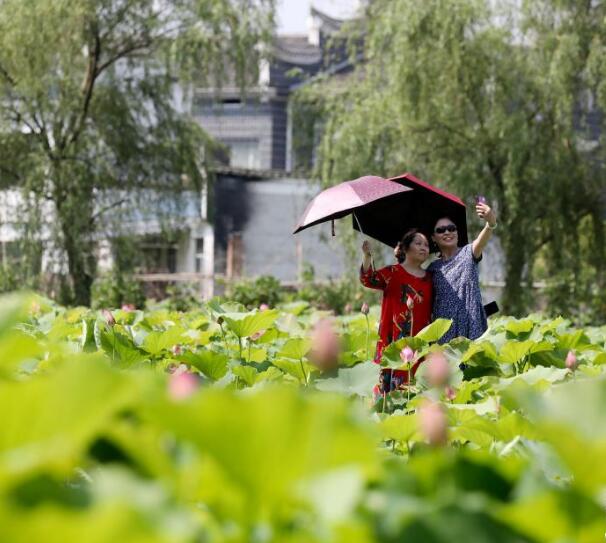 湖南資興：古村荷香引客來