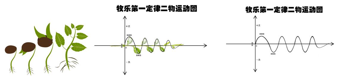 關(guān)于宇宙形狀、空間、時間、生命體的討論與五個猜想