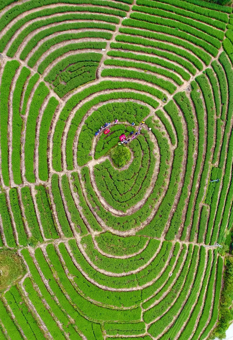 中國第56項世界遺產(chǎn)，為什么是泉州？