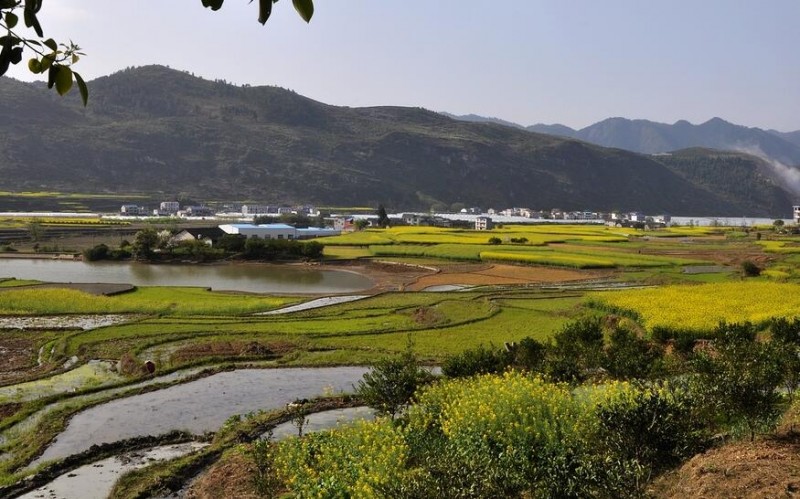 重慶酉陽紅土地文學(xué)社會員作品選