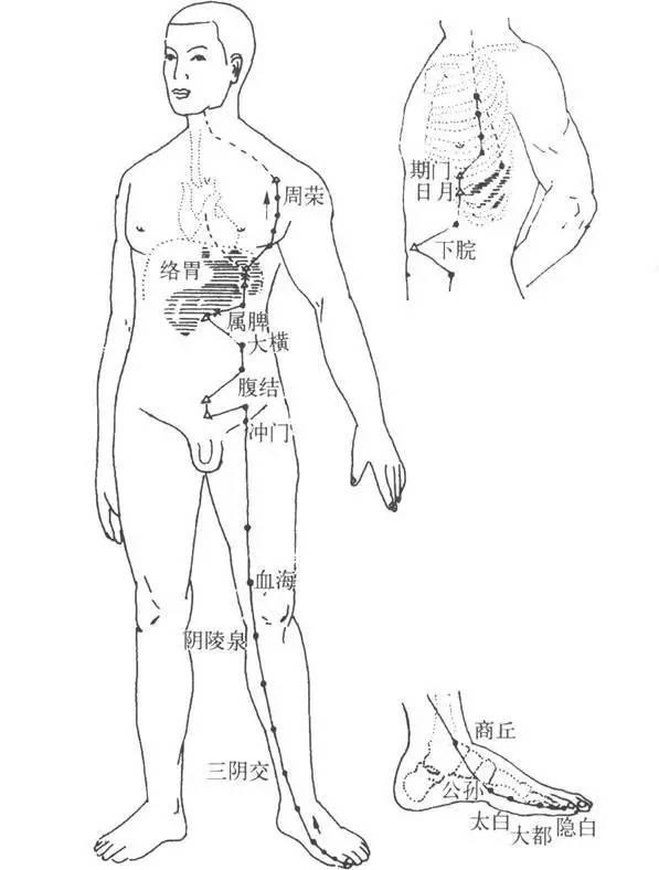 7個(gè)方法調(diào)理好你的中焦和脾胃，排出身體寒濕