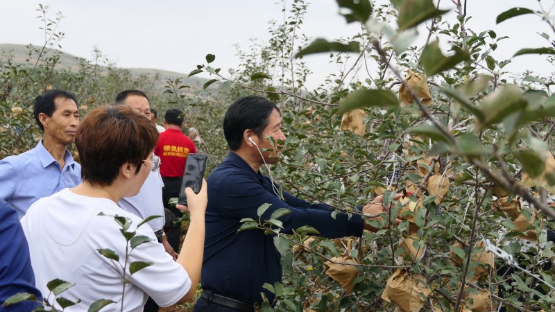 2021煙臺(tái)碳?xì)浜朔驶赜^摩交流會(huì)在海陽(yáng)市召開