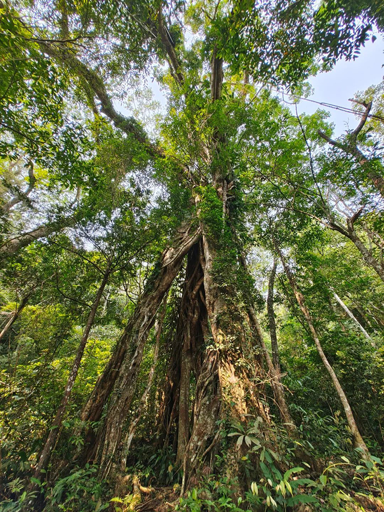 中國(guó)國(guó)家公園，到底有多寶藏？