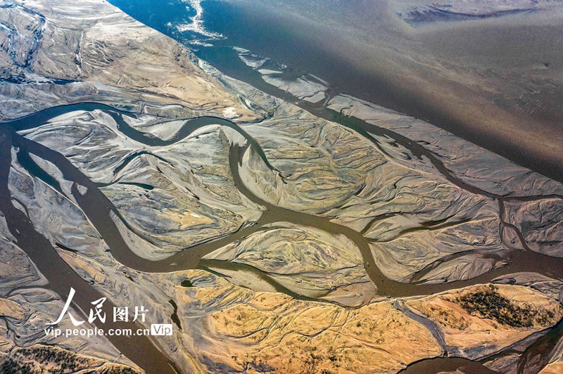 黃河水位下降 河床露出線條形態(tài)各異蔚為壯觀