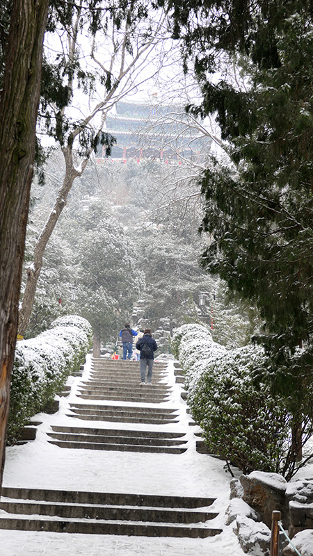 雪中景山公園、故宮