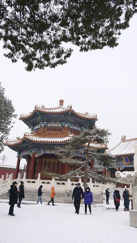 雪中景山公園、故宮