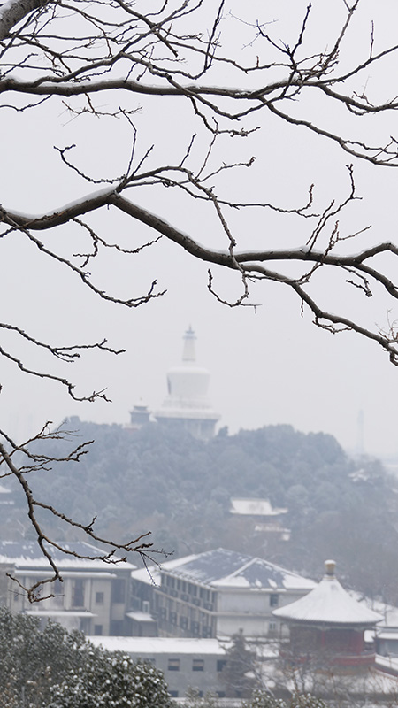 雪中景山公園、故宮