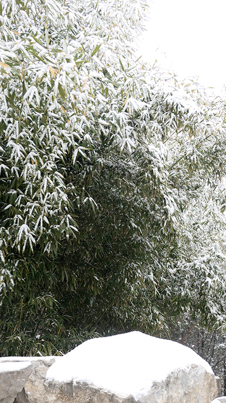 雪中景山公園、故宮