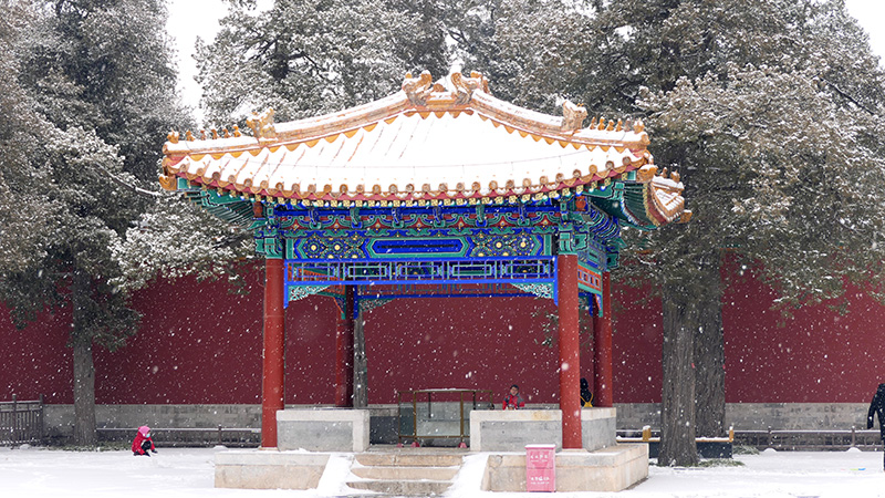 雪中景山公園、故宮——李月攝影