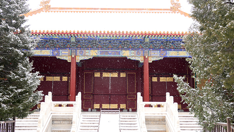 雪中景山公園、故宮——李月攝影