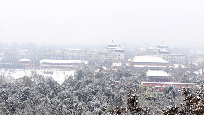 雪中景山公園、故宮——李月攝影