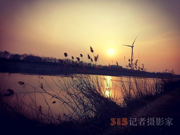 李月手機(jī)拍圖——又見蘆葦夕陽紅