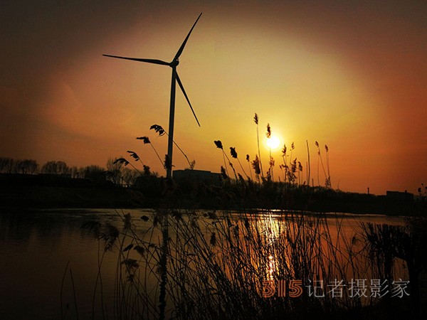 李月手機(jī)拍圖——又見蘆葦夕陽紅