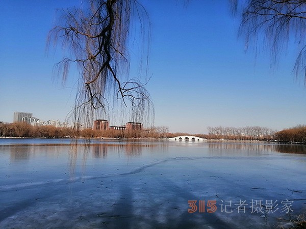 李月手機(jī)拍圖——玉淵潭公園冰開春來