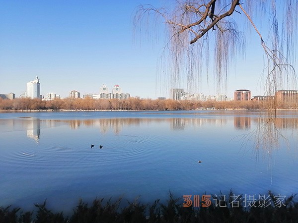 李月手機(jī)拍圖——玉淵潭公園冰開春來