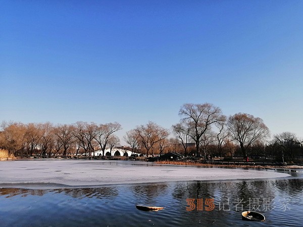 李月手機(jī)拍圖——玉淵潭公園冰開春來