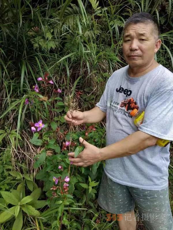 苗醫(yī)慢病快治專家范景良