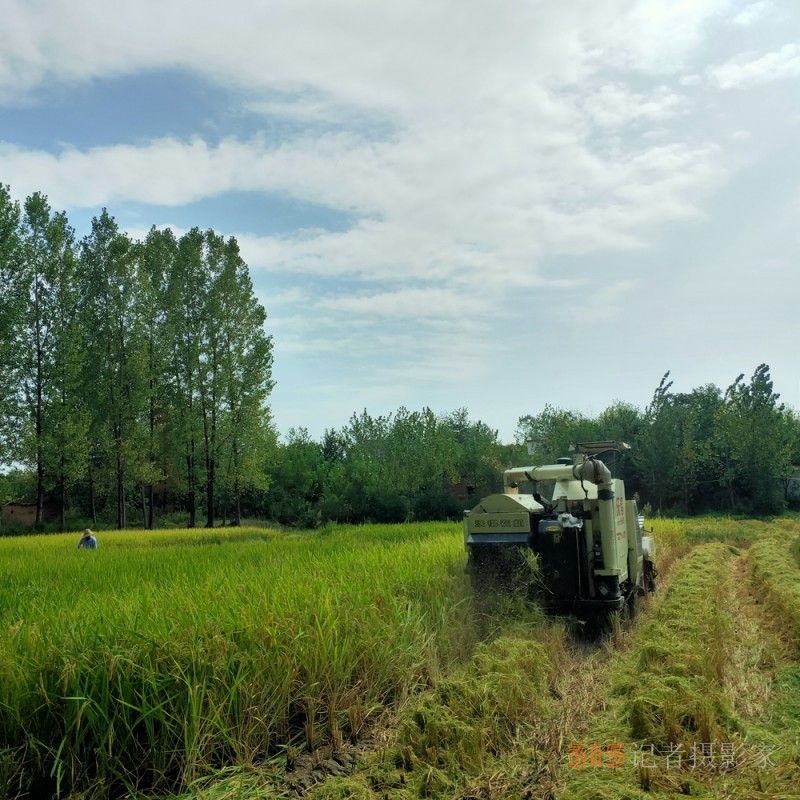 沉沙詩圖：在一條光的小路走到黑