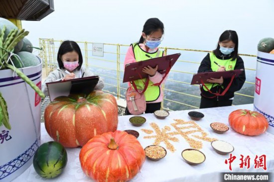 世界糧食日將至重慶小學生繪畫呼吁“節(jié)約糧食從我做起”