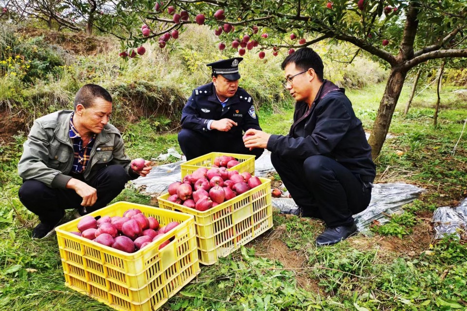 金秋十月好“警”色 豐收時節(jié)“警”相隨