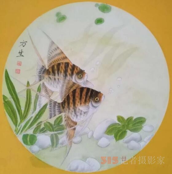 黃河鯉公趙方生畫魚