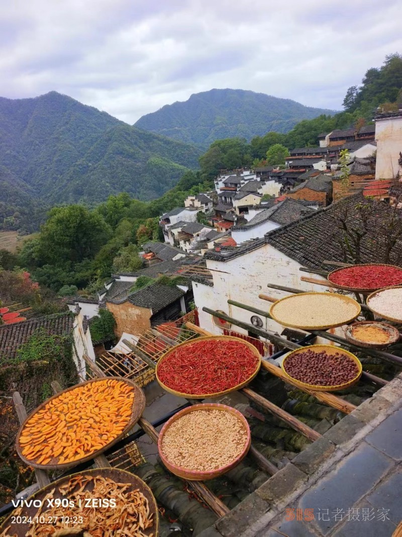 安陽劉玉海詩歌:篁嶺曬秋